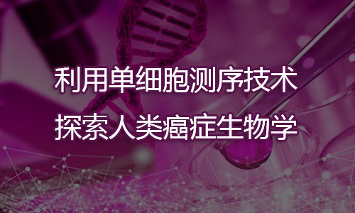 利用单细胞测序技术探索人类癌症生物学