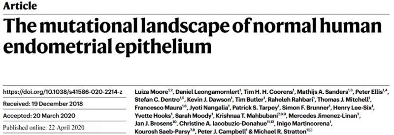 正常子宫内膜上皮的突变图谱
