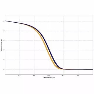 AriaMx HRM qPCR 软件