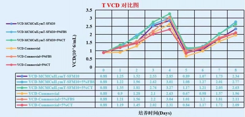 T 细胞在 MCMCulLymT-SFM10 中静置培养效果