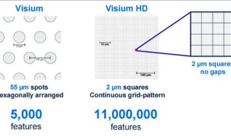 重磅更新！10x Visium HD 空间转录组新鲜样本解决方案正式上线啦！