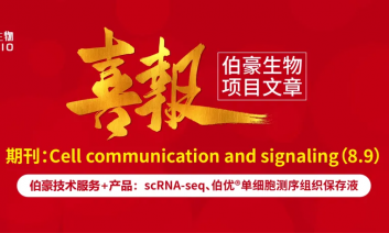 单细胞项目文章 | 慢性阻塞性肺疾病患者中肺腺癌患者对免疫治疗的增强反应：对肿瘤细胞和免疫微环境特征的见解