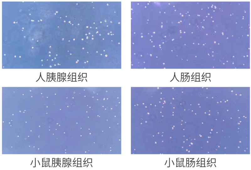 图片14