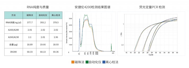 伯优®FFPE样本RNA提取试剂盒单页_画板 1 副本 6